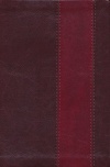 ESV Single Column Heritage, Brown / Burgundy Band Design, Trutone