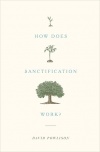 How Does Sanctification Work?