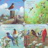 Coasters - Birds with Verses of Encouragement - set of 4