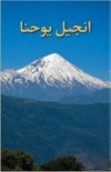 Gospel according to John in Farsi  (pack of 5)