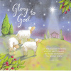 Christmas Cards - Glory to God Pack of 10  (Sheep) Luke 2:14 CMS