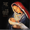 Christmas Cards - Matthew 1:21 Pack of 10 CMS