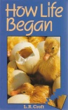 How Life Began