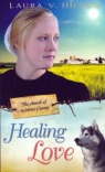 Healing Love, The Amish of Webster County Series 