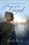 Promise of an Angel, Heaven on Earth Series