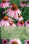 Tract - What a Friend we Have in Jesus (pk 25)