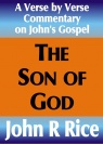 Commentary on John's Gospel, The Son of God - CCS