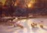 Christmas Cards - Sheep in Snowy Field - Pack of 10 - CMS - D2007