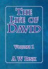 The Life of David (vol 1) - CCS