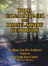 The Bible: The Way to Heaven Through our Lord Jesus Christ, Romanian Edition