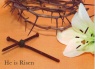 Easter Cards - He is Risen Nails (Pack of 5) - ESC