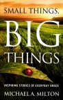 Small Things Big Things